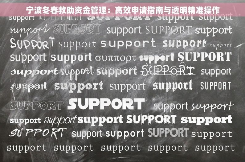宁波冬春救助资金管理：高效申请指南与透明精准操作