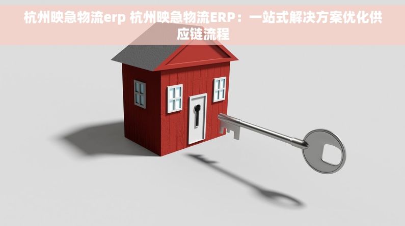 杭州映急物流erp 杭州映急物流ERP：一站式解决方案优化供应链流程