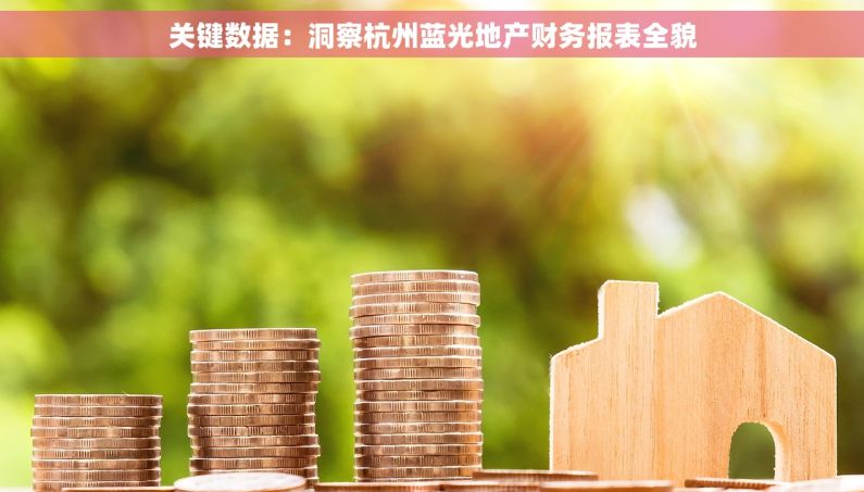 关键数据：洞察杭州蓝光地产财务报表全貌