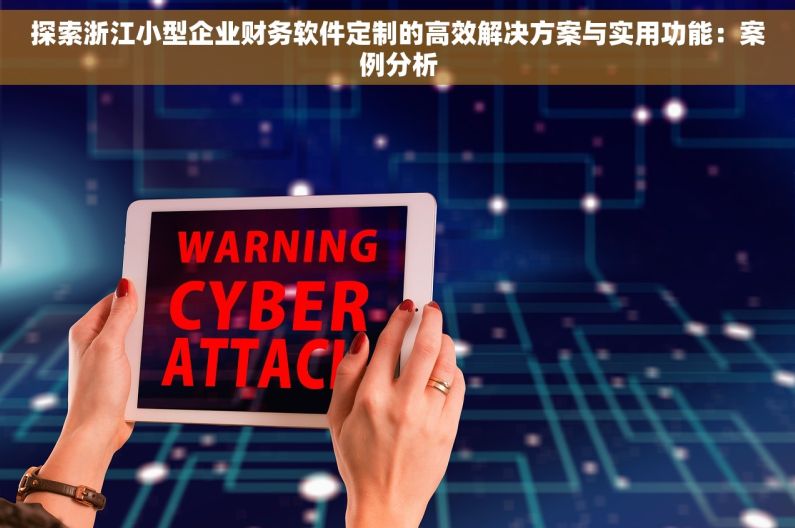 探索浙江小型企业财务软件定制的高效解决方案与实用功能：案例分析