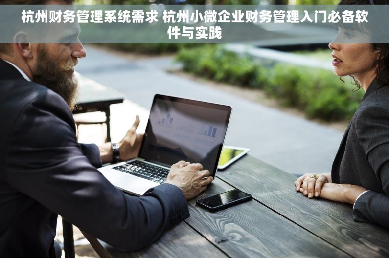 杭州财务管理系统需求 杭州小微企业财务管理入门必备软件与实践