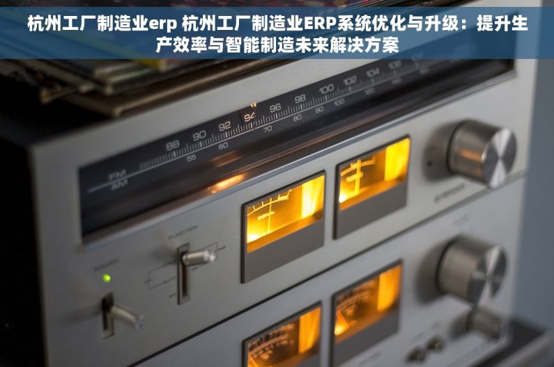 杭州工厂制造业erp 杭州工厂制造业ERP系统优化与升级：提升生产效率与智能制造未来解决方案