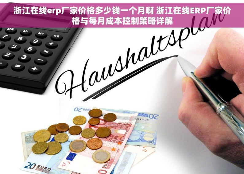 浙江在线erp厂家价格多少钱一个月啊 浙江在线ERP厂家价格与每月成本控制策略详解