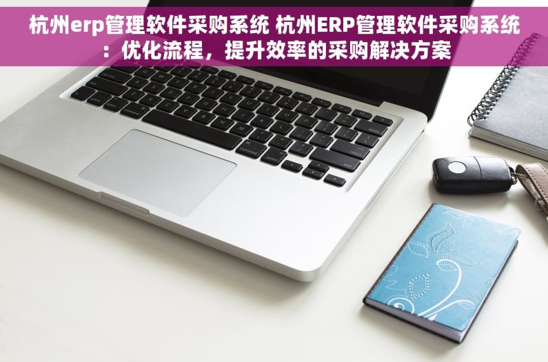 杭州erp管理软件采购系统 杭州ERP管理软件采购系统：优化流程，提升效率的采购解决方案