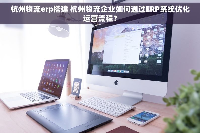 杭州物流erp搭建 杭州物流企业如何通过ERP系统优化运营流程？