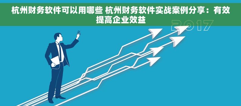 杭州财务软件可以用哪些 杭州财务软件实战案例分享：有效提高企业效益