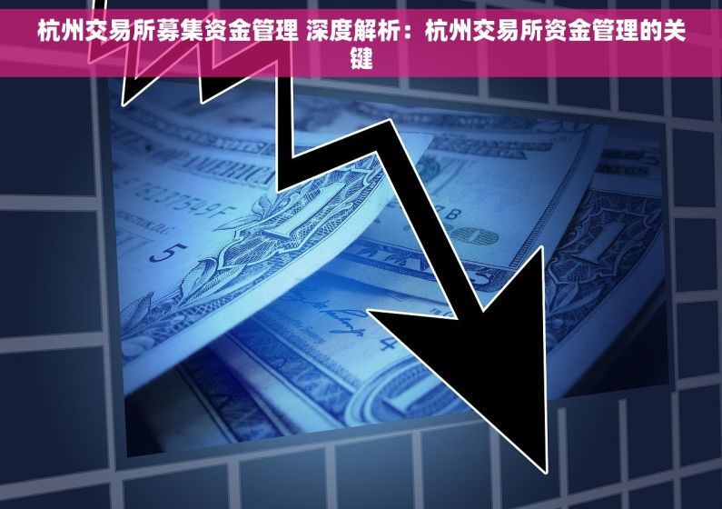 杭州交易所募集资金管理 深度解析：杭州交易所资金管理的关键