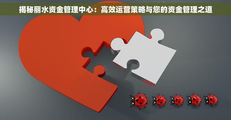 揭秘丽水资金管理中心：高效运营策略与您的资金管理之道