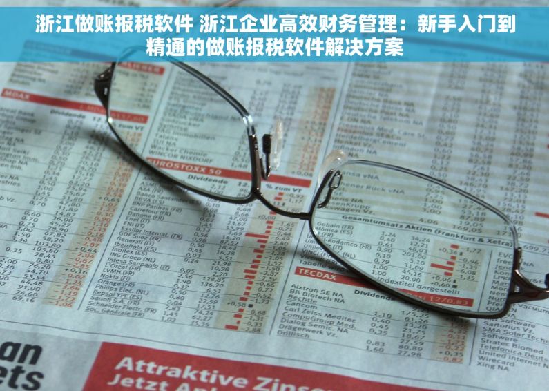 浙江做账报税软件 浙江企业高效财务管理：新手入门到精通的做账报税软件解决方案