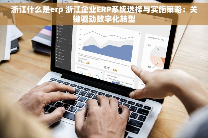 浙江什么是erp 浙江企业ERP系统选择与实施策略：关键驱动数字化转型