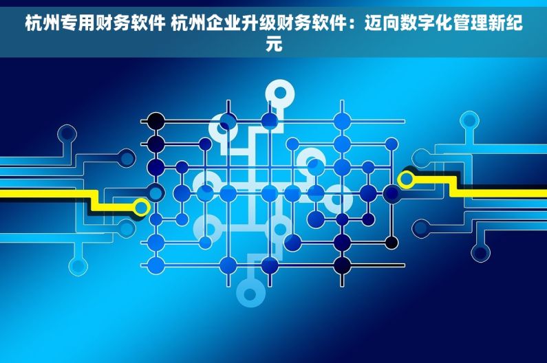 杭州专用财务软件 杭州企业升级财务软件：迈向数字化管理新纪元