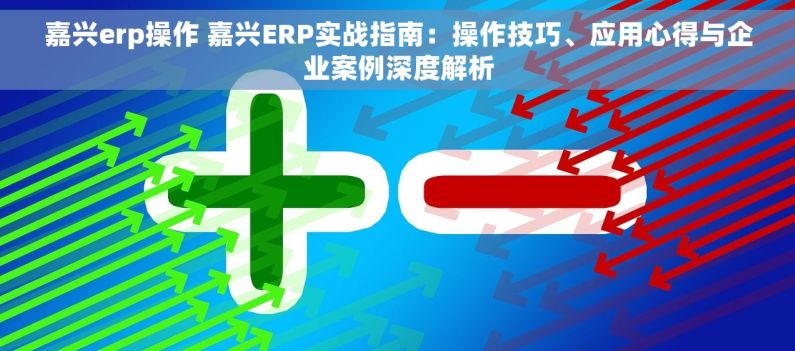 嘉兴erp操作 嘉兴ERP实战指南：操作技巧、应用心得与企业案例深度解析