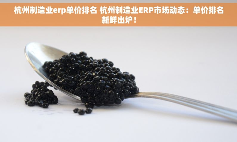 杭州制造业erp单价排名 杭州制造业ERP市场动态：单价排名新鲜出炉！