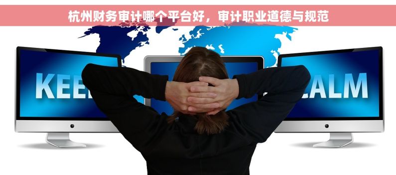杭州财务审计哪个平台好，审计职业道德与规范