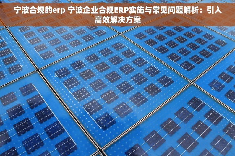 宁波合规的erp 宁波企业合规ERP实施与常见问题解析：引入高效解决方案
