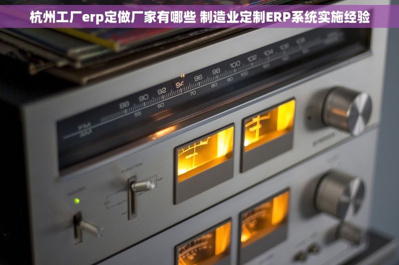 杭州工厂erp定做厂家有哪些 制造业定制ERP系统实施经验