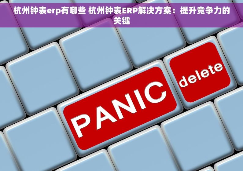 杭州钟表erp有哪些 杭州钟表ERP解决方案：提升竞争力的关键