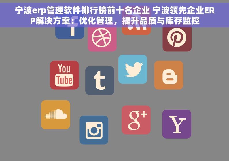 宁波erp管理软件排行榜前十名企业 宁波领先企业ERP解决方案：优化管理，提升品质与库存监控