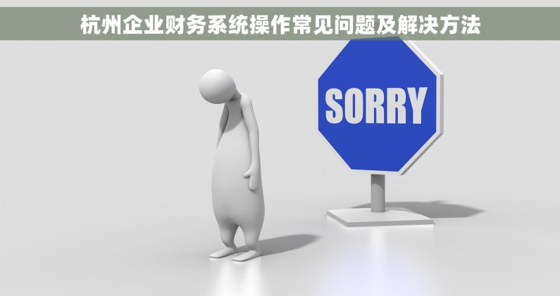 杭州企业财务系统操作常见问题及解决方法