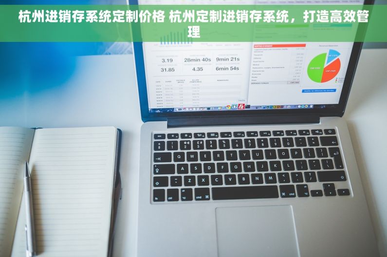 杭州进销存系统定制价格 杭州定制进销存系统，打造高效管理