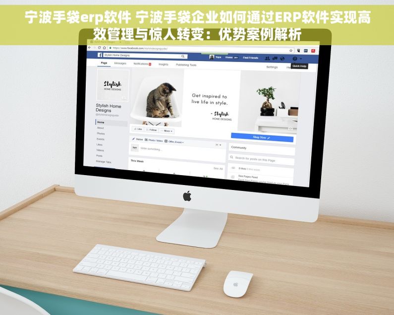 宁波手袋erp软件 宁波手袋企业如何通过ERP软件实现高效管理与惊人转变：优势案例解析