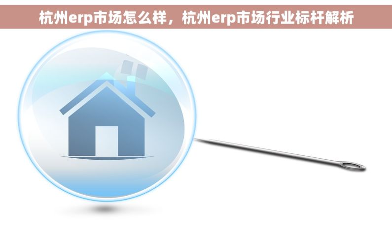杭州erp市场怎么样，杭州erp市场行业标杆解析