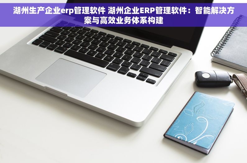 湖州生产企业erp管理软件 湖州企业ERP管理软件：智能解决方案与高效业务体系构建