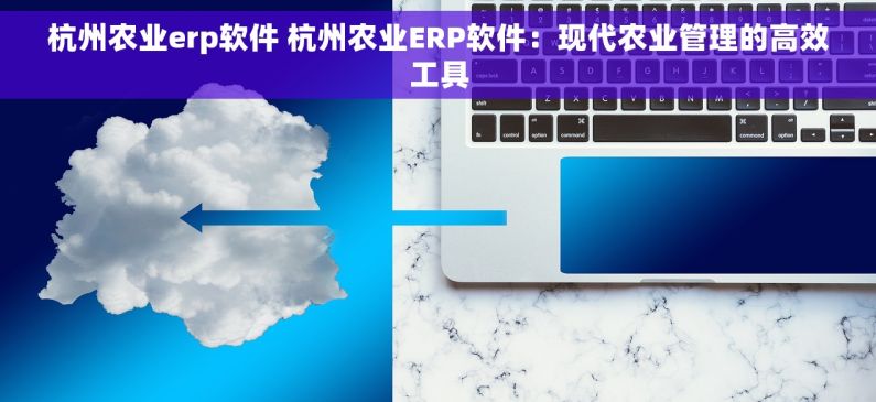 杭州农业erp软件 杭州农业ERP软件：现代农业管理的高效工具