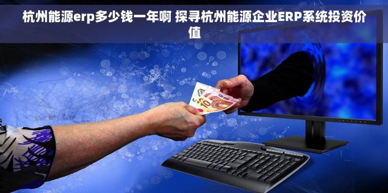 杭州能源erp多少钱一年啊 探寻杭州能源企业ERP系统投资价值