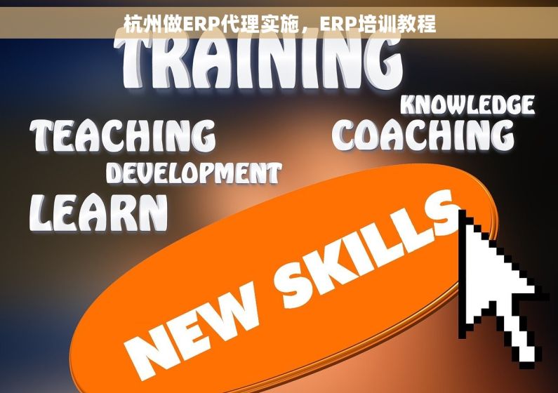 杭州做ERP代理实施，ERP培训教程