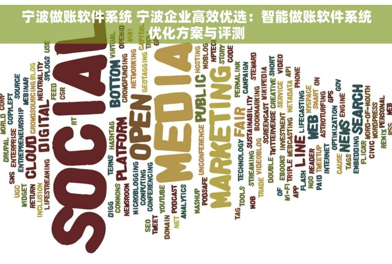 宁波做账软件系统 宁波企业高效优选：智能做账软件系统优化方案与评测