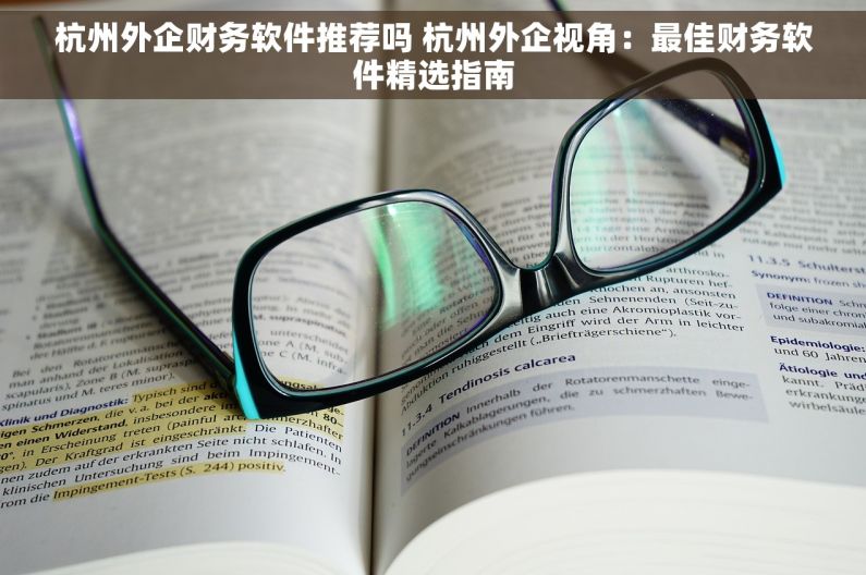 杭州外企财务软件推荐吗 杭州外企视角：最佳财务软件精选指南