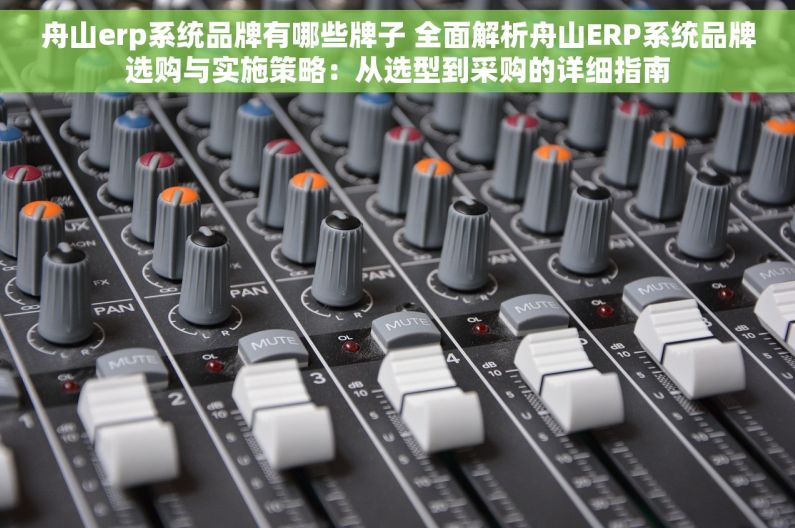舟山erp系统品牌有哪些牌子 全面解析舟山ERP系统品牌选购与实施策略：从选型到采购的详细指南