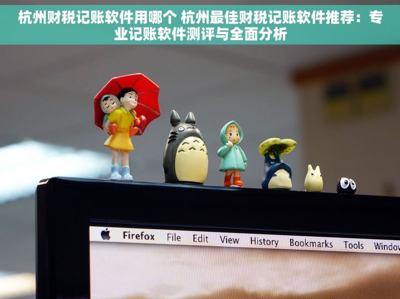 杭州财税记账软件用哪个 杭州最佳财税记账软件推荐：专业记账软件测评与全面分析