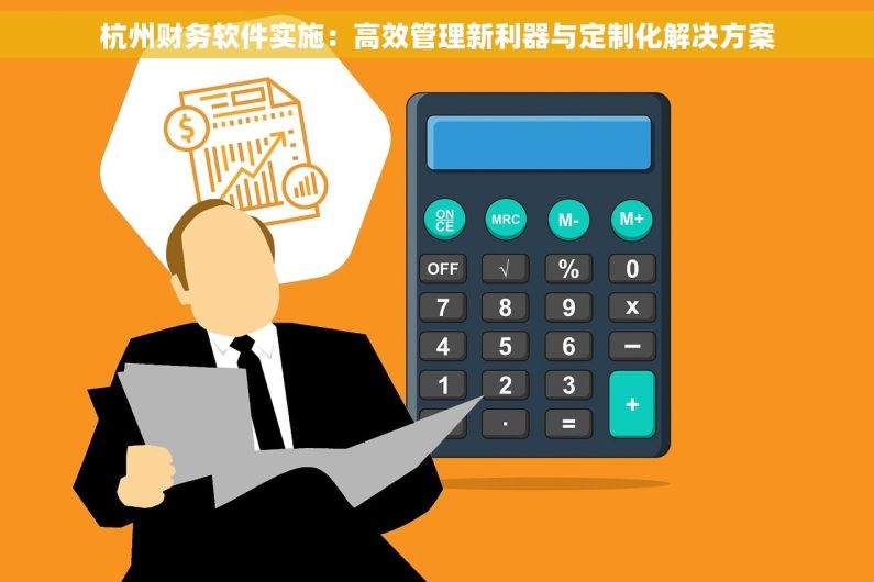 杭州财务软件实施：高效管理新利器与定制化解决方案