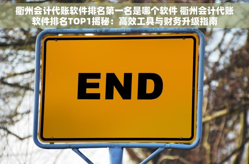 衢州会计代账软件排名第一名是哪个软件 衢州会计代账软件排名TOP1揭秘：高效工具与财务升级指南