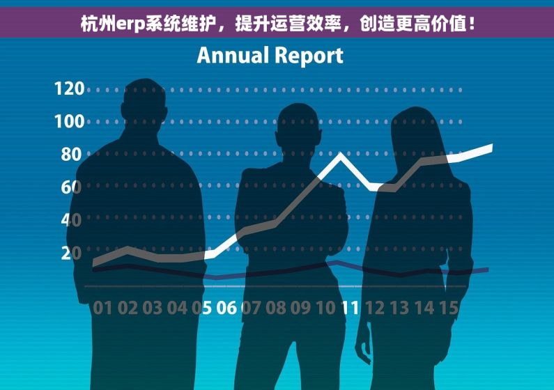 杭州erp系统维护，提升运营效率，创造更高价值！