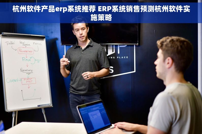 杭州软件产品erp系统推荐 ERP系统销售预测杭州软件实施策略