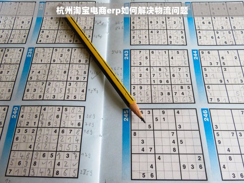 杭州淘宝电商erp如何解决物流问题