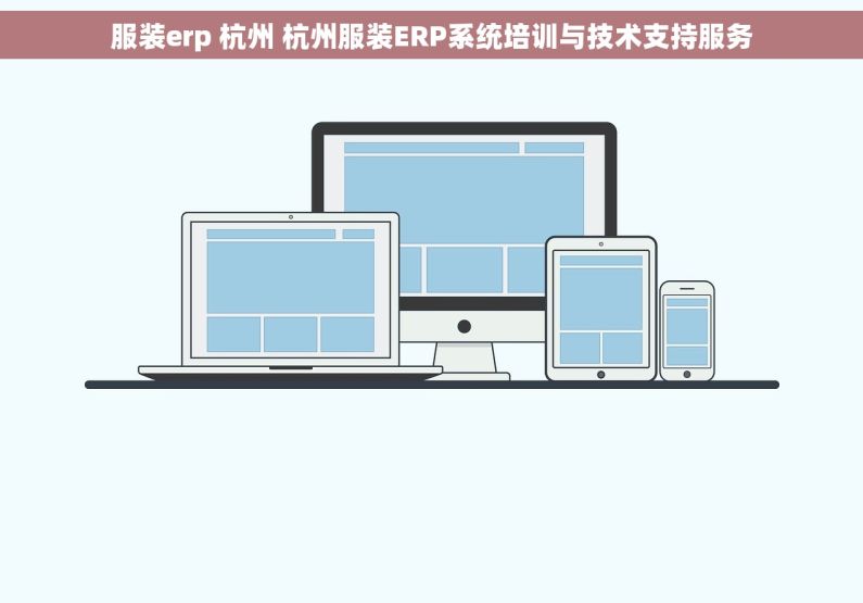 服装erp 杭州 杭州服装ERP系统培训与技术支持服务