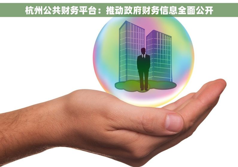 杭州公共财务平台：推动政府财务信息全面公开