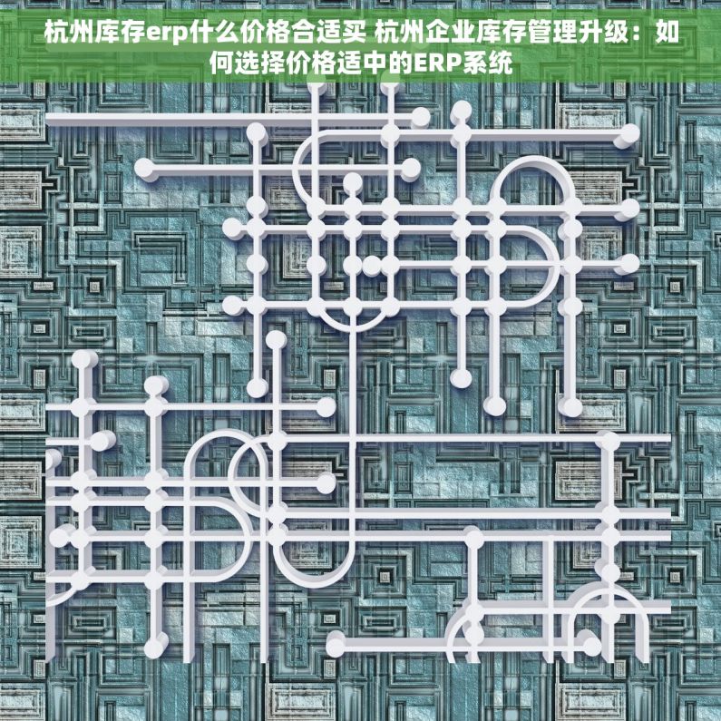 杭州库存erp什么价格合适买 杭州企业库存管理升级：如何选择价格适中的ERP系统
