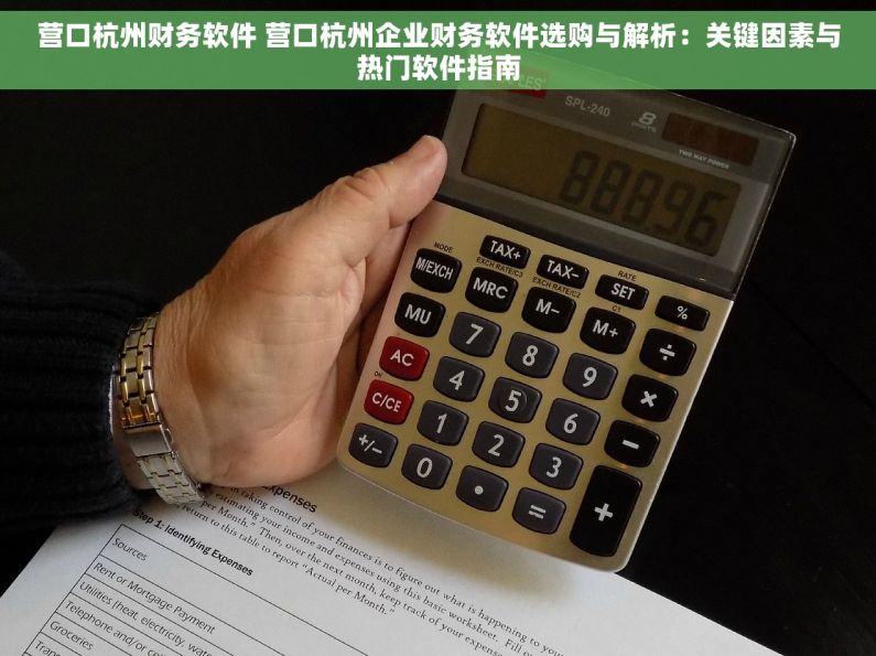 营口杭州财务软件 营口杭州企业财务软件选购与解析：关键因素与热门软件指南