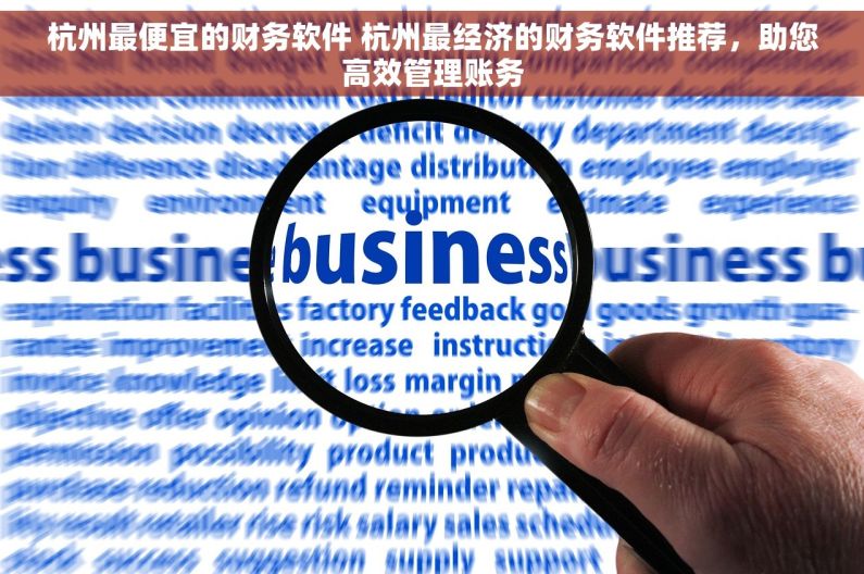 杭州最便宜的财务软件 杭州最经济的财务软件推荐，助您高效管理账务