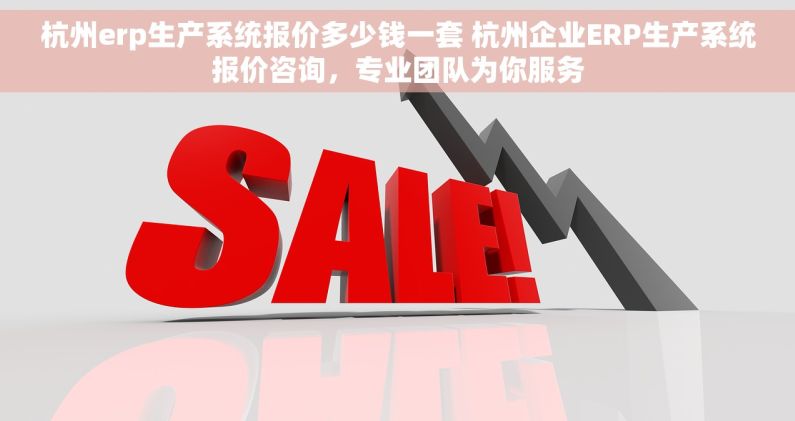 杭州erp生产系统报价多少钱一套 杭州企业ERP生产系统报价咨询，专业团队为你服务