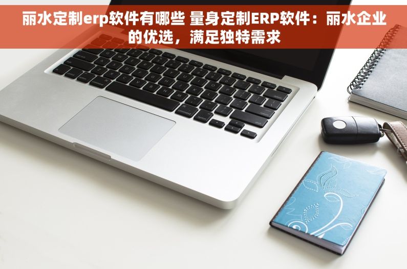 丽水定制erp软件有哪些 量身定制ERP软件：丽水企业的优选，满足独特需求