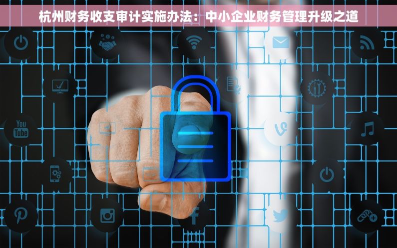 杭州财务收支审计实施办法：中小企业财务管理升级之道