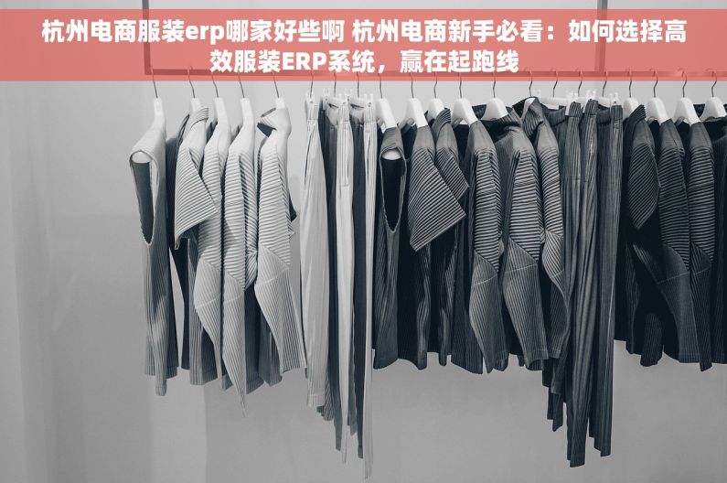 杭州电商服装erp哪家好些啊 杭州电商新手必看：如何选择高效服装ERP系统，赢在起跑线