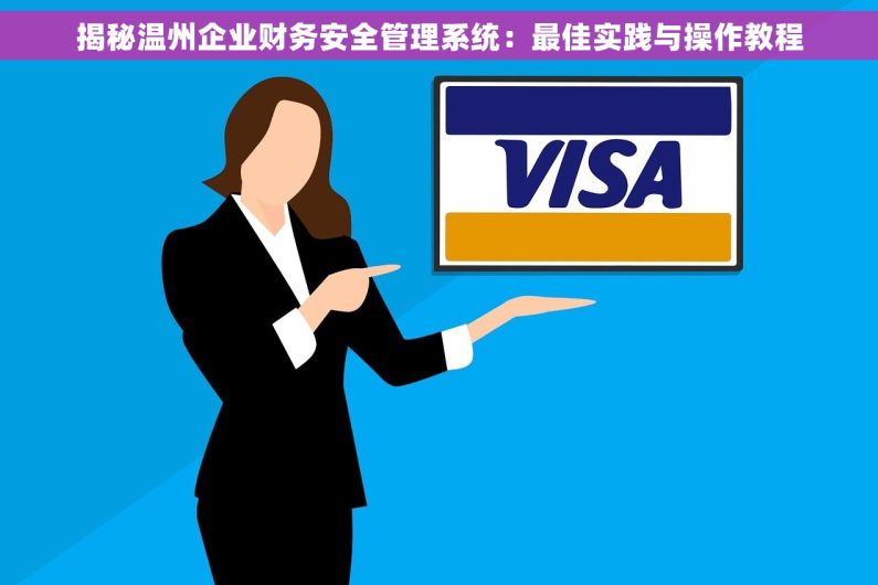 揭秘温州企业财务安全管理系统：最佳实践与操作教程