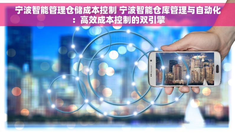 宁波智能管理仓储成本控制 宁波智能仓库管理与自动化：高效成本控制的双引擎